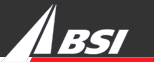 bsi logo