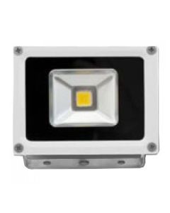 LED F.LIGHT N WHT/WHT 100D 50W 100-305AC